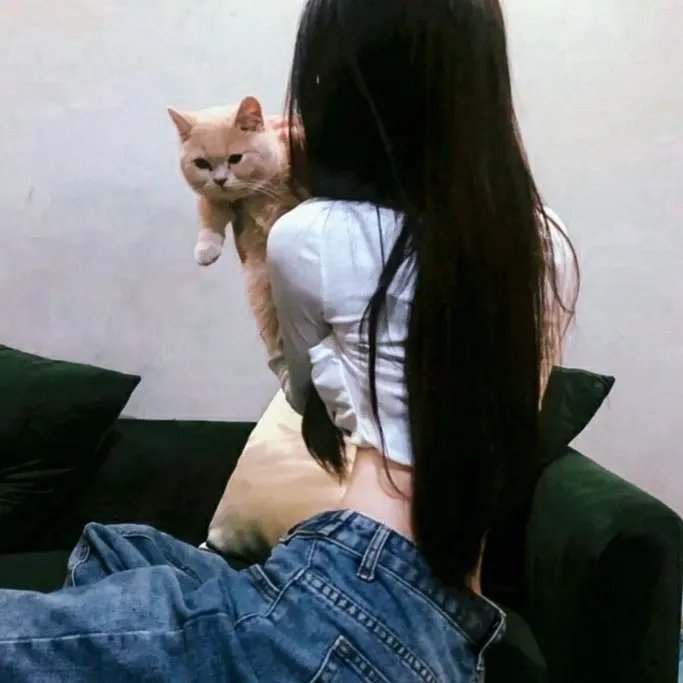 华丽之后粤语